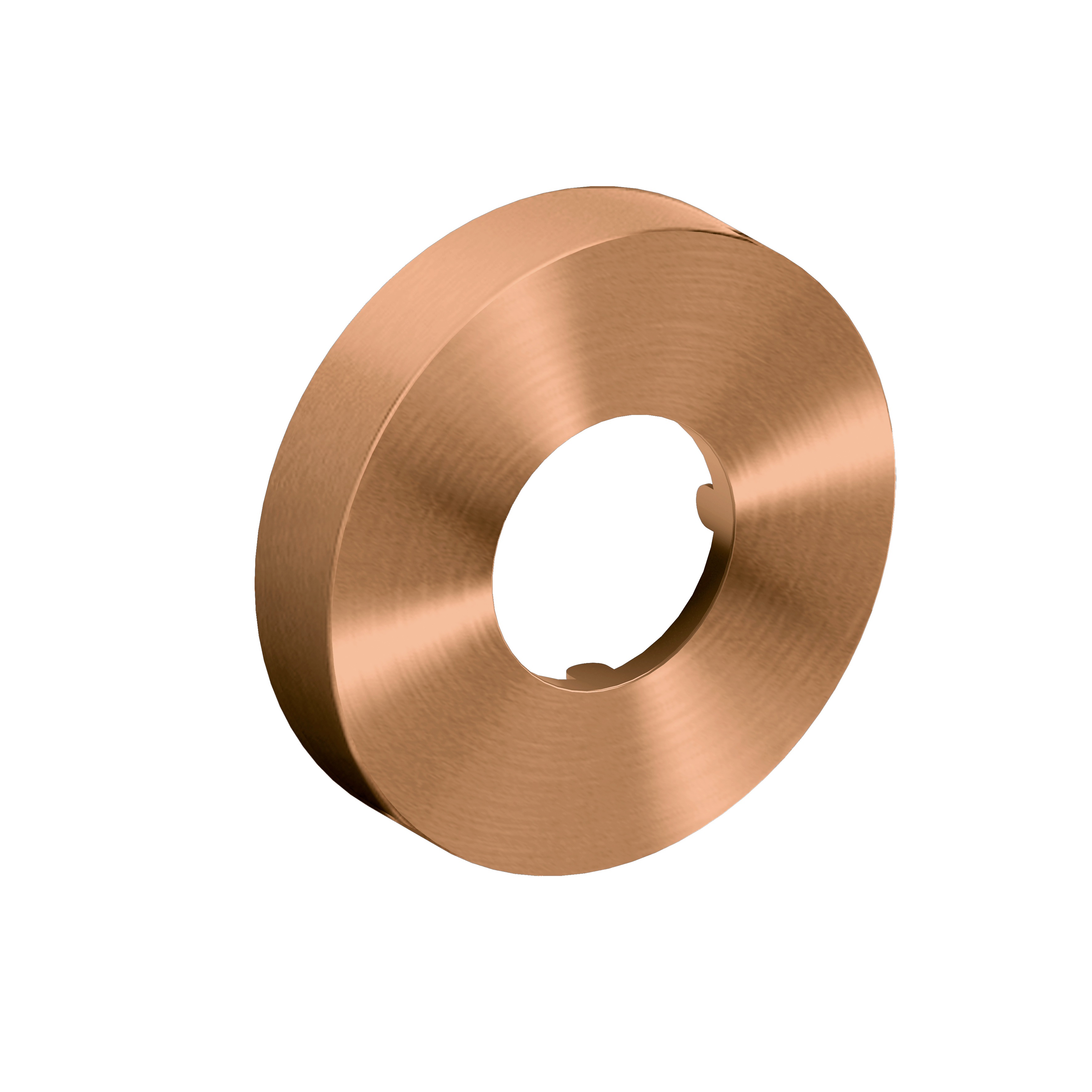 Clou Muurrozet 6cm, brons geborsteld PVD t.b.v. Mini Suk sifon